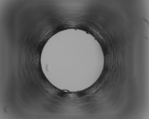 X0000092050509200710101018