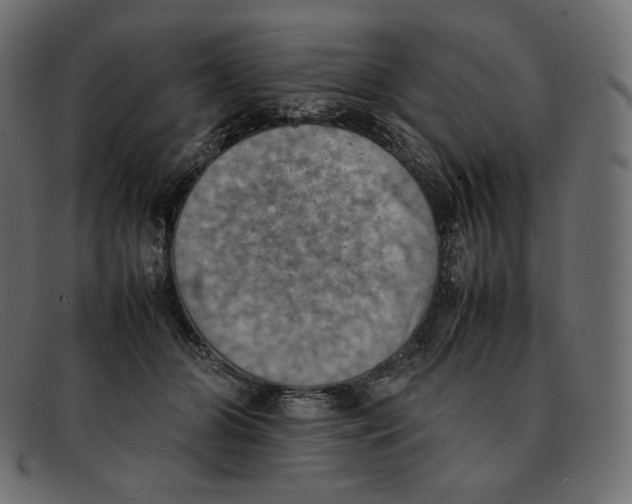 X0000092050510200710101018