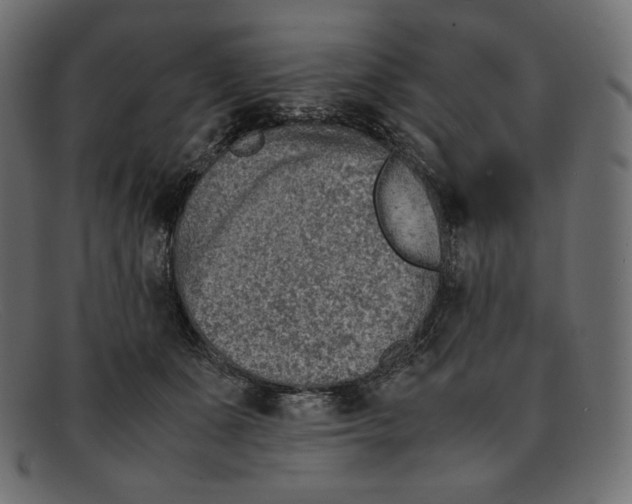 X0000092050511200710101018