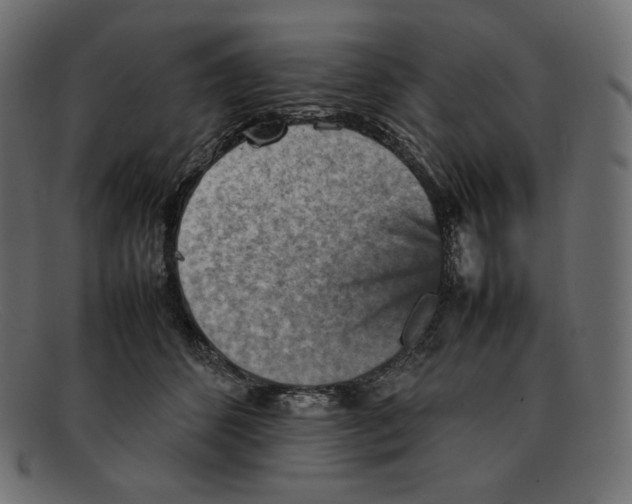 X0000092050512200710101018