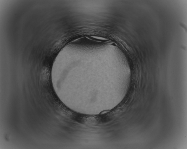 X0000092050513200710101018