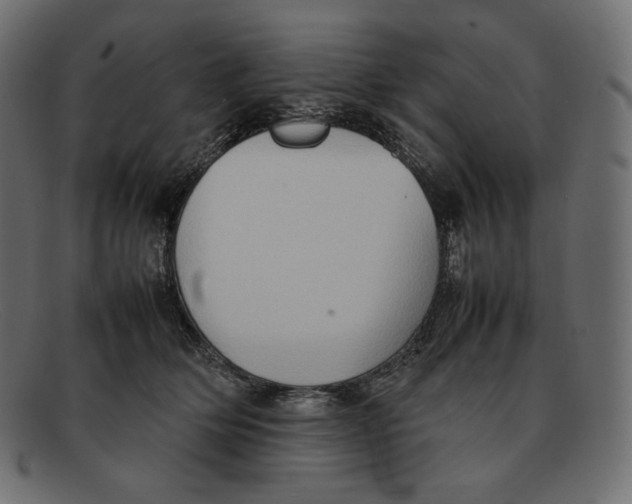 X0000092050514200710101018