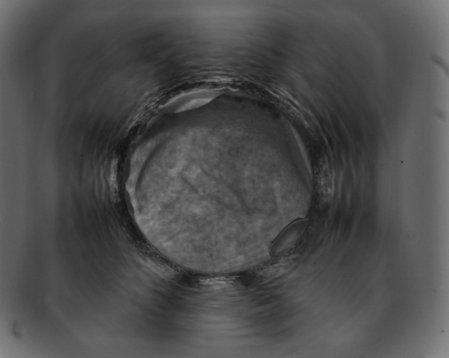 X0000092050516200710101018