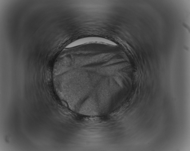 X0000092050517200710101018