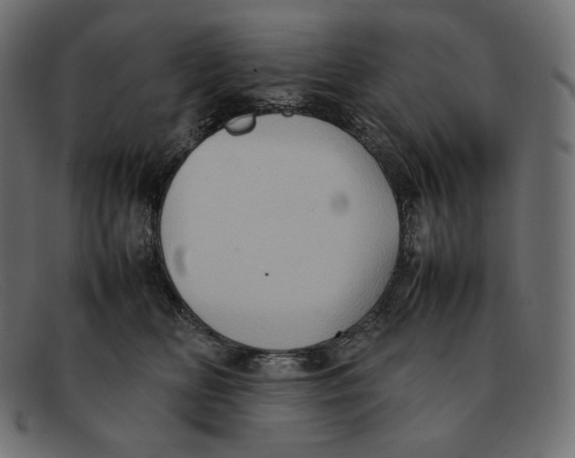 X0000092050518200710101018