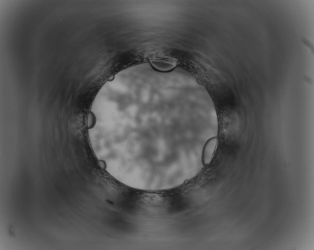 X0000092050519200710101018