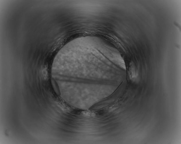 X0000092050520200710101018