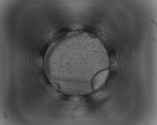 X0000092050523200710101018