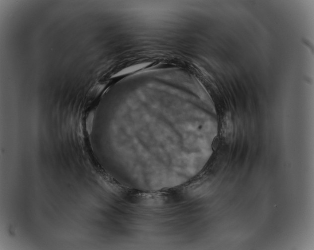 X0000092050524200710101018