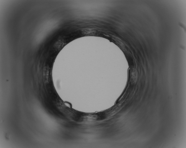 X0000092050525200710101018