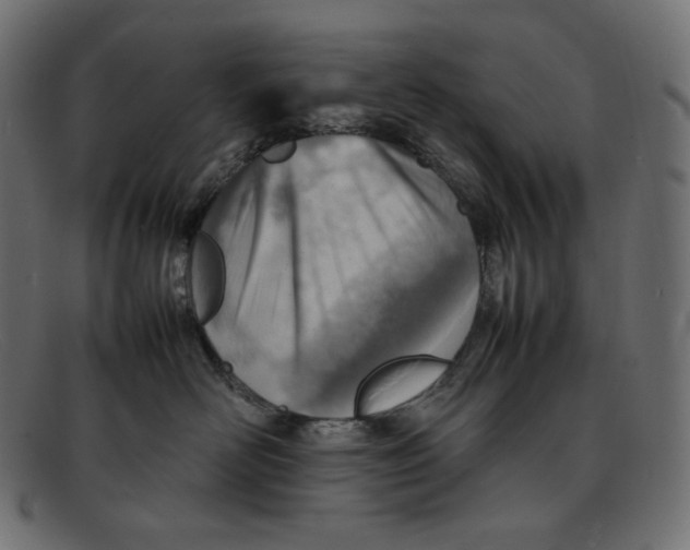 X0000092050526200710101018