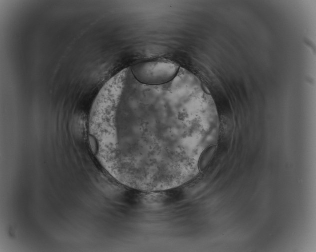 X0000092050527200710101018