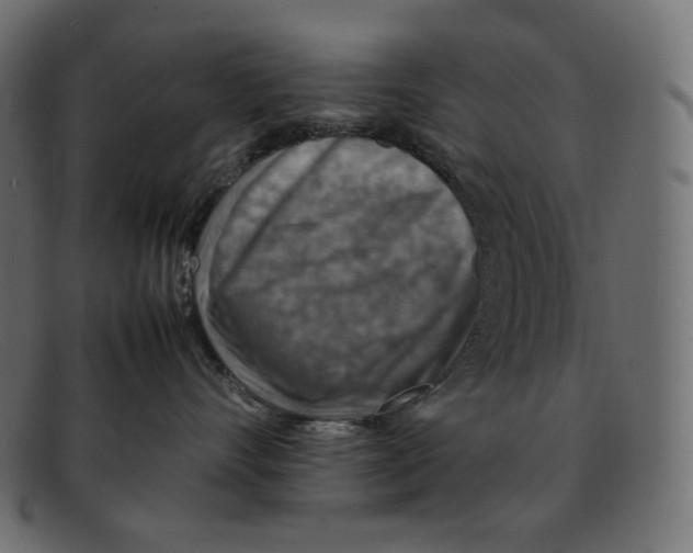 X0000092050528200710101018