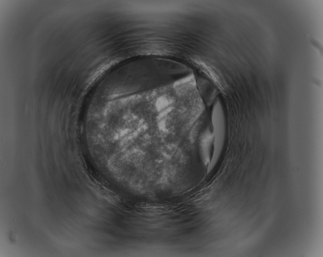 X0000092050531200710101017