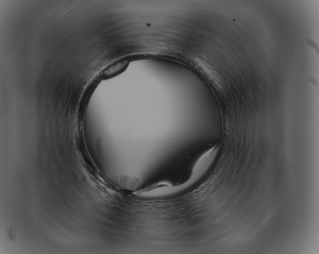 X0000092050532200710101017