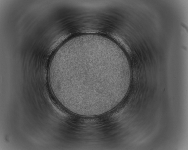 X0000092050533200710101017