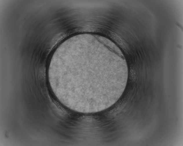 X0000092050534200710101017