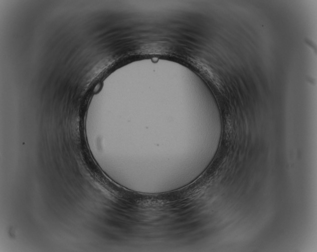 X0000092050535200710101017