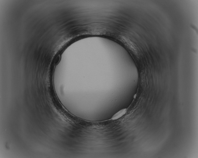 X0000092050536200710101017