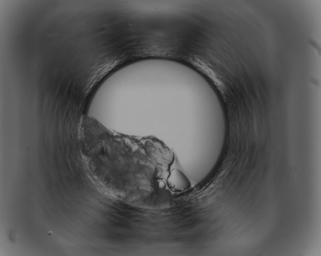 X0000092050537200710101017