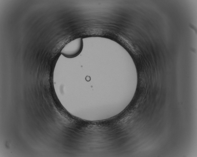 X0000092050538200710101017