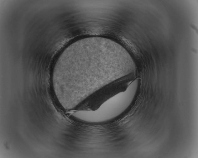 X0000092050540200710101017