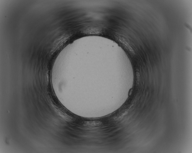 X0000092050541200710101017