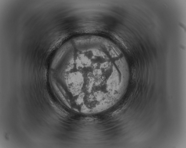 X0000092050542200710101017