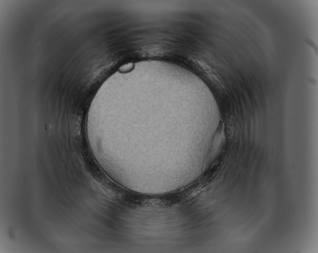 X0000092050543200710101017