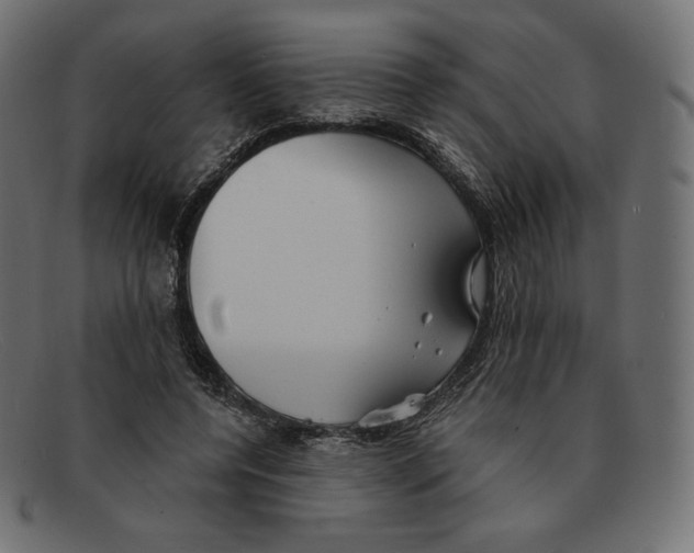 X0000092050544200710101017