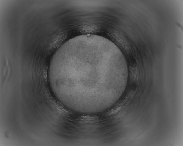 X0000092050545200710101017