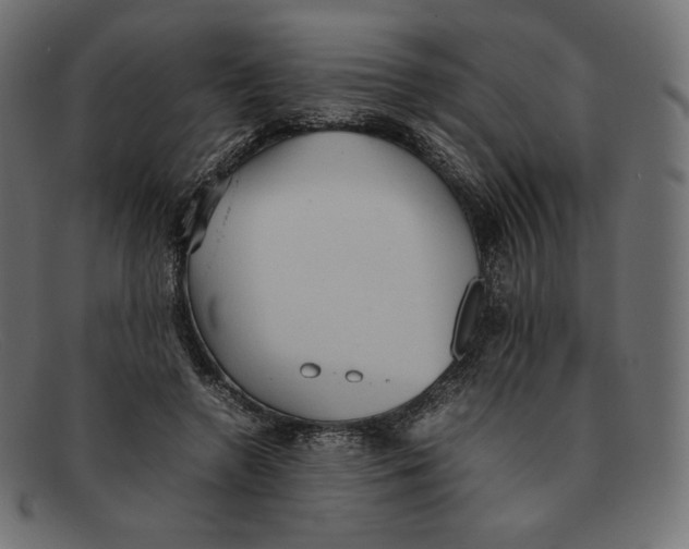 X0000092050546200710101017