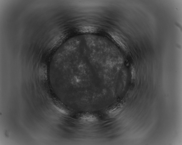 X0000092050547200710101017