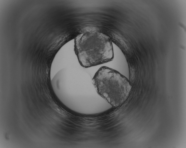 X0000092050549200710101017