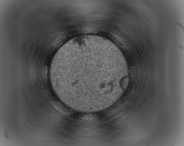 X0000092050550200710101017