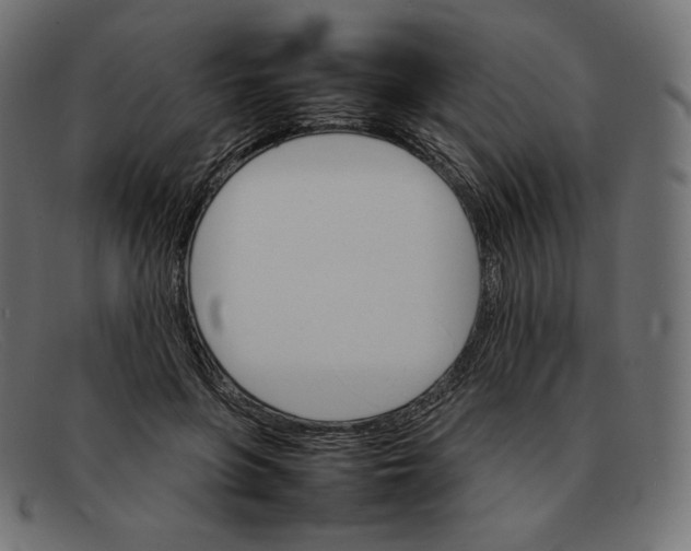 X0000092050551200710101017