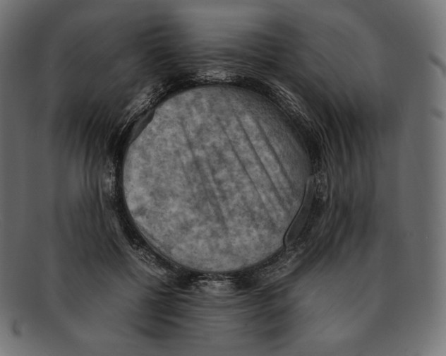 X0000092050552200710101017