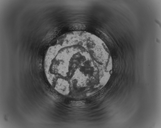 X0000092050553200710101017