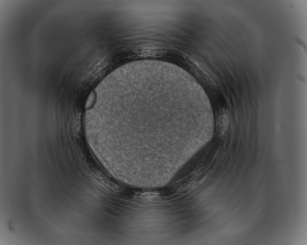 X0000092050554200710101017