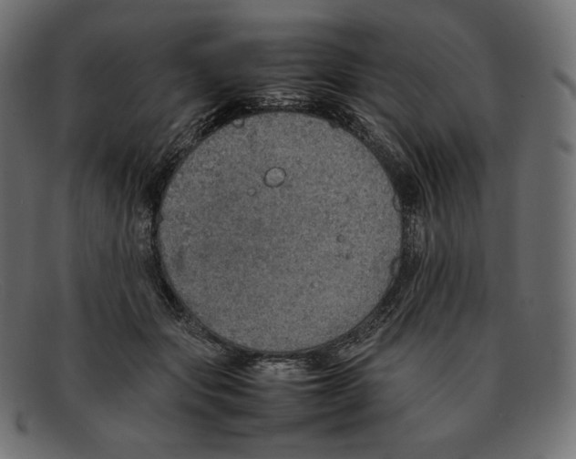 X0000092050557200710101017