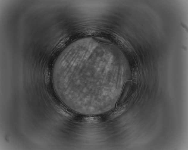 X0000092050558200710101018