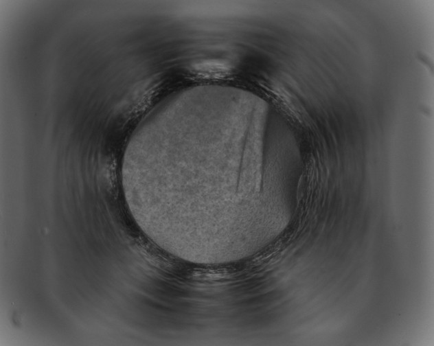 X0000092050559200710101018