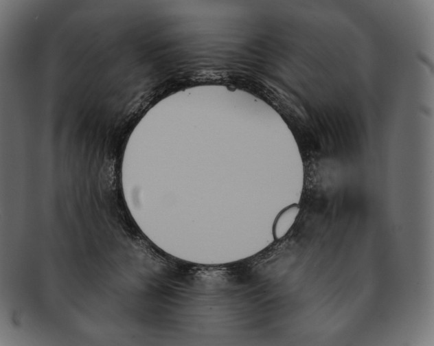 X0000092050560200710101018