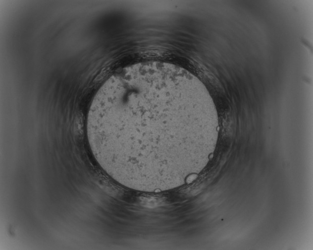 X0000092050561200710101018