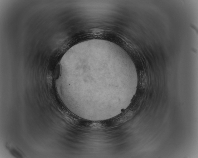 X0000092050562200710101018