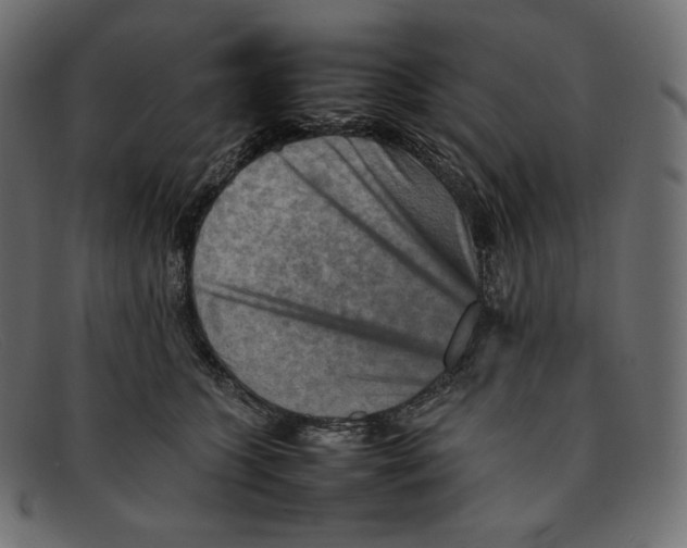 X0000092050563200710101018