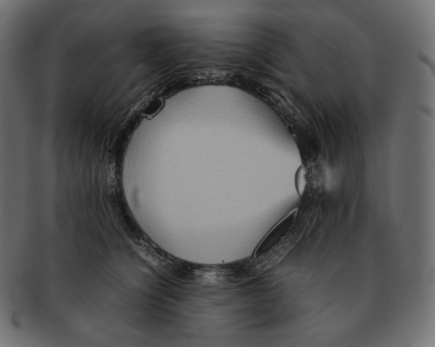 X0000092050564200710101018