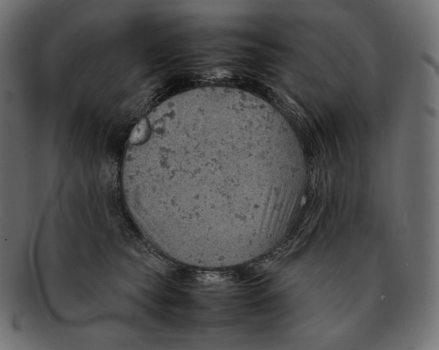 X0000092050565200710101018