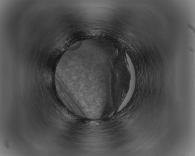 X0000092050566200710101018