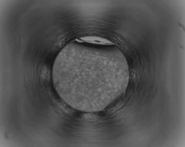 X0000092050568200710101018